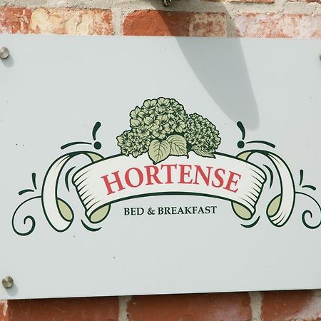 B&B Hortense Koekelare Ngoại thất bức ảnh